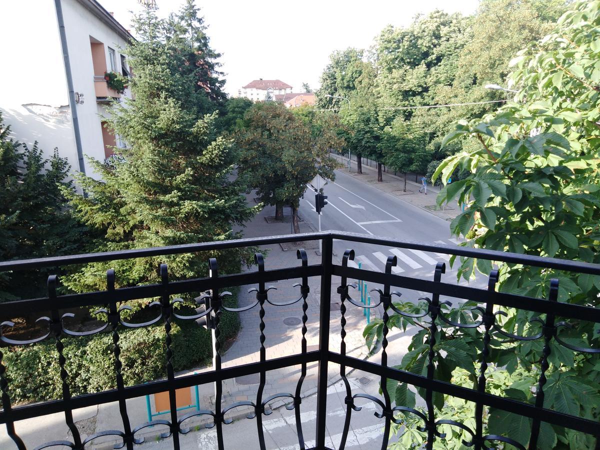 Veliki Park Villa Sabac Bagian luar foto