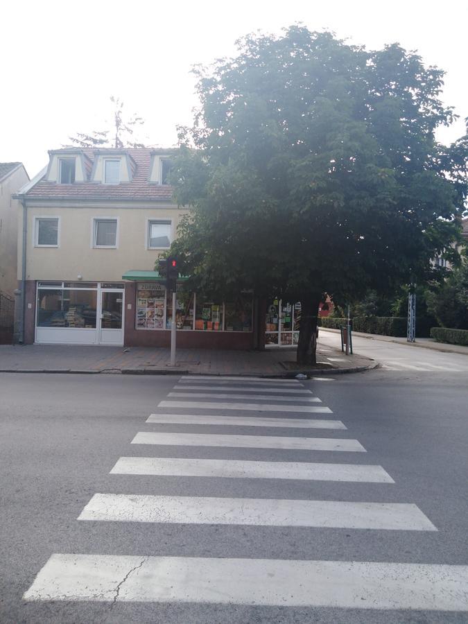 Veliki Park Villa Sabac Bagian luar foto
