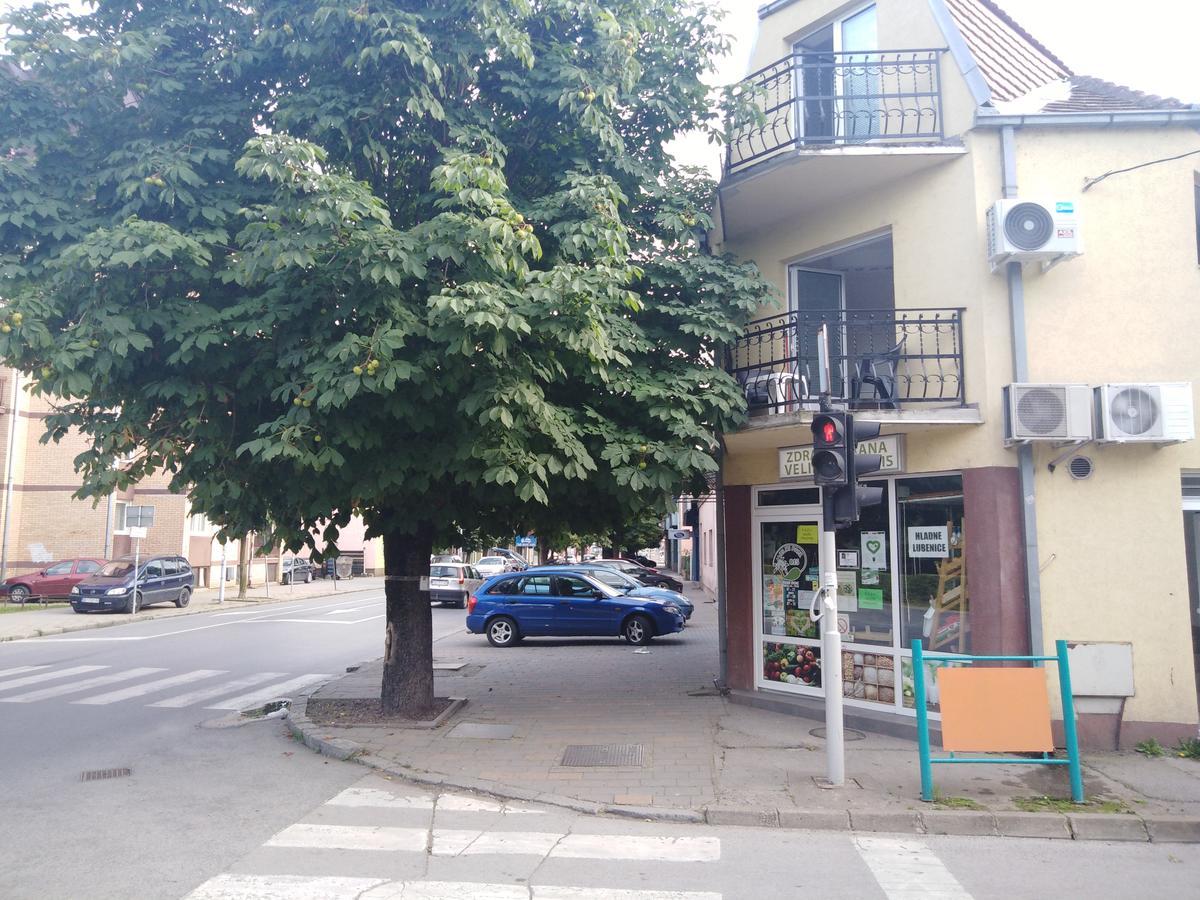 Veliki Park Villa Sabac Bagian luar foto
